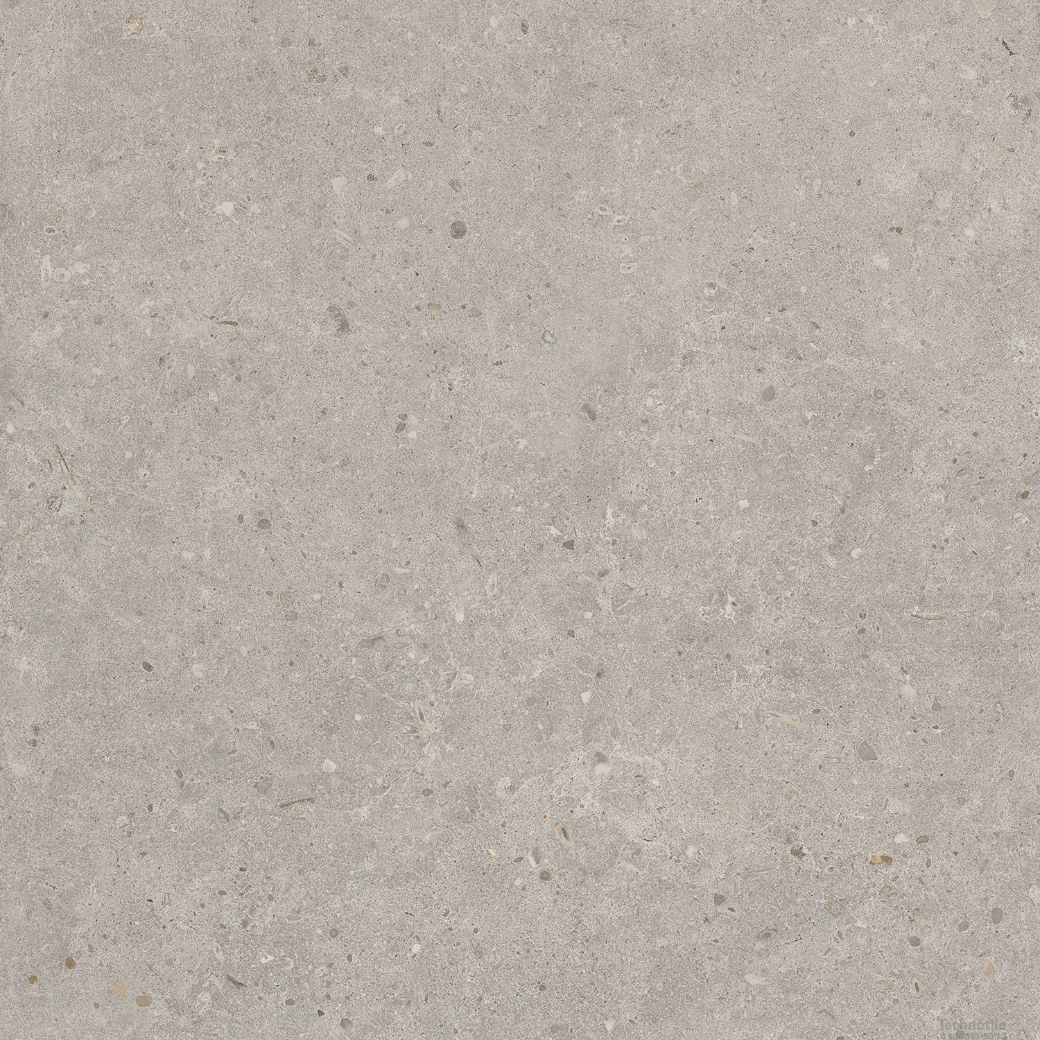 Плитка керамогранит Риккарди SG653720R Светло-серый матовый