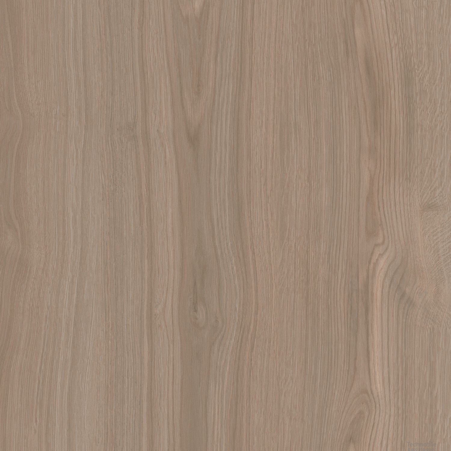 Плитка керамогранит Альберони SG643820R Светло-коричневый матовый