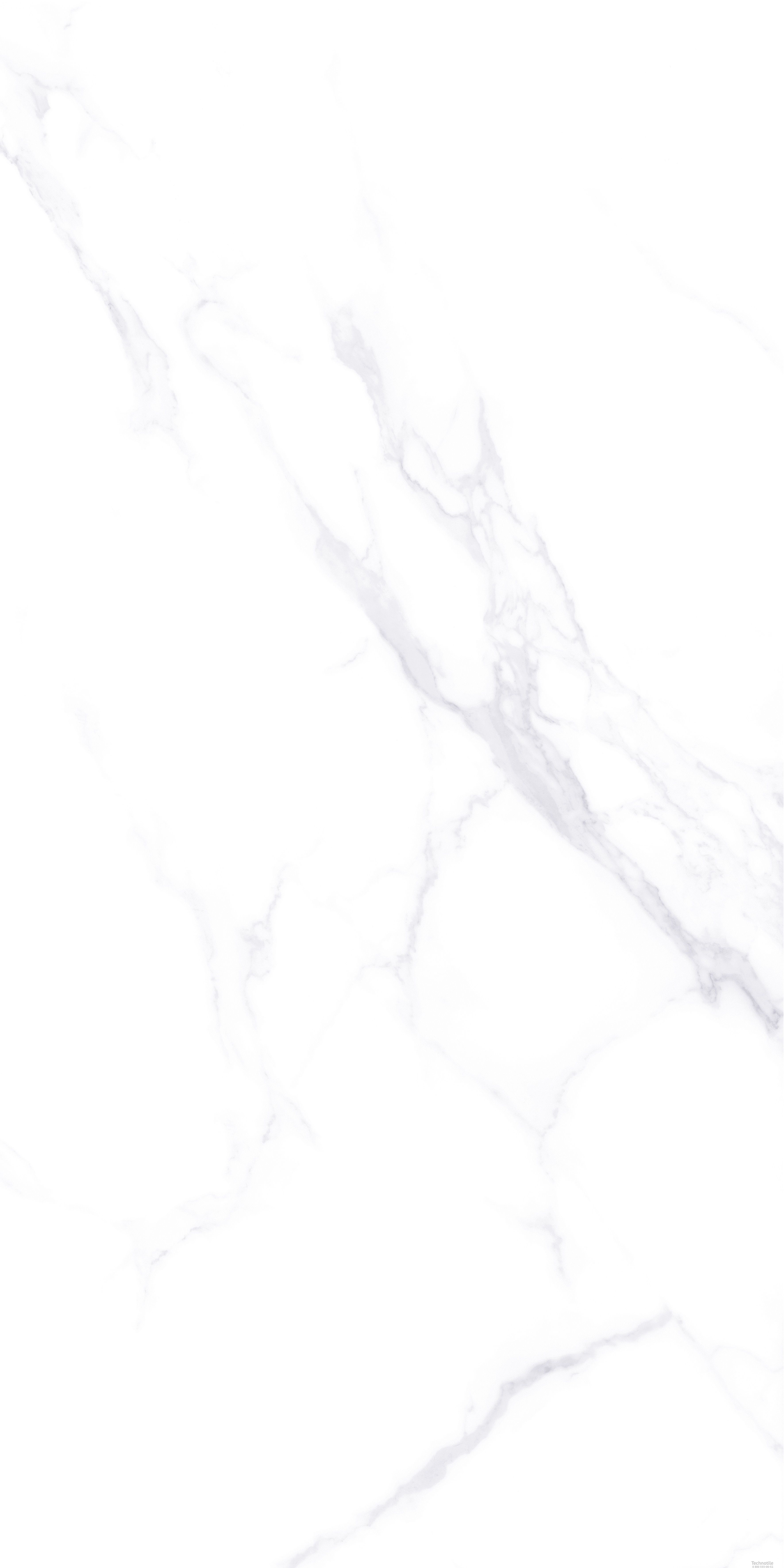 Плитка керамогранит Холст ZA-L12605  полированный