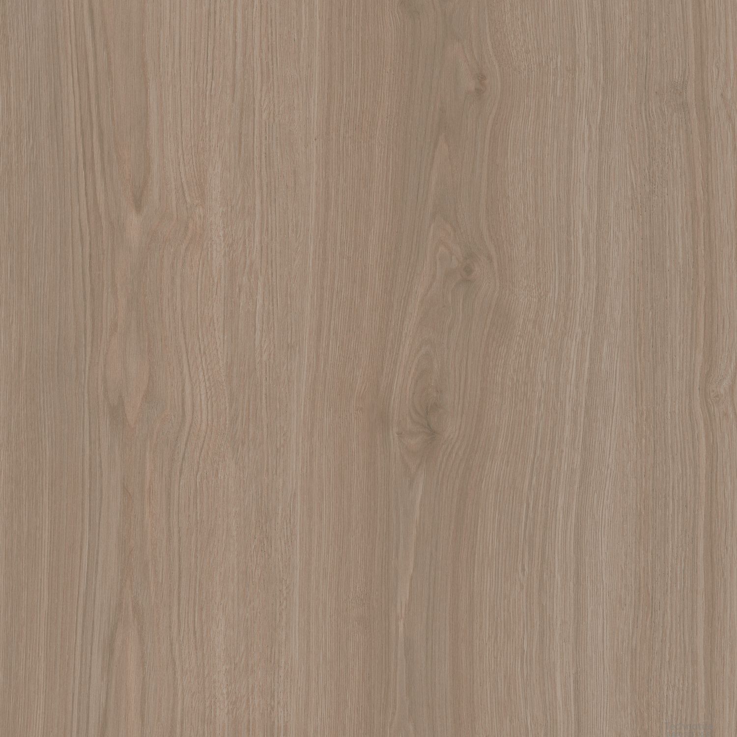 Плитка керамогранит Альберони SG643820R Светло-коричневый матовый