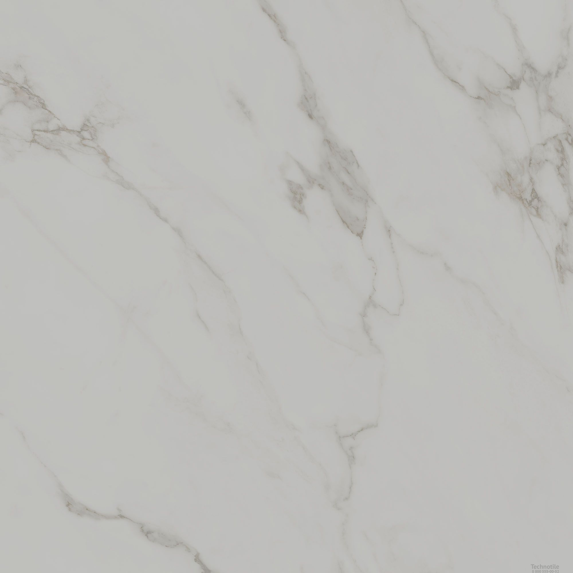 Плитка керамогранит Монте Тиберио SG654420R Светло-серый матовый