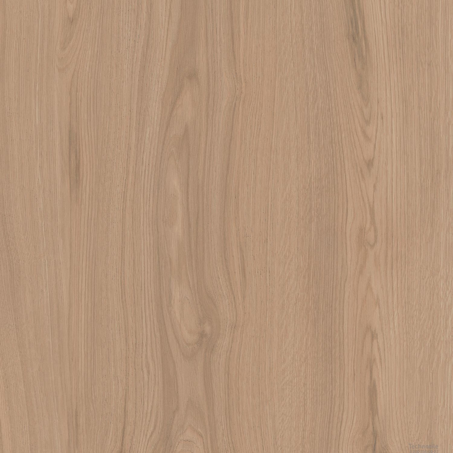 Плитка керамогранит Альберони SG643620R Бежевый матовый