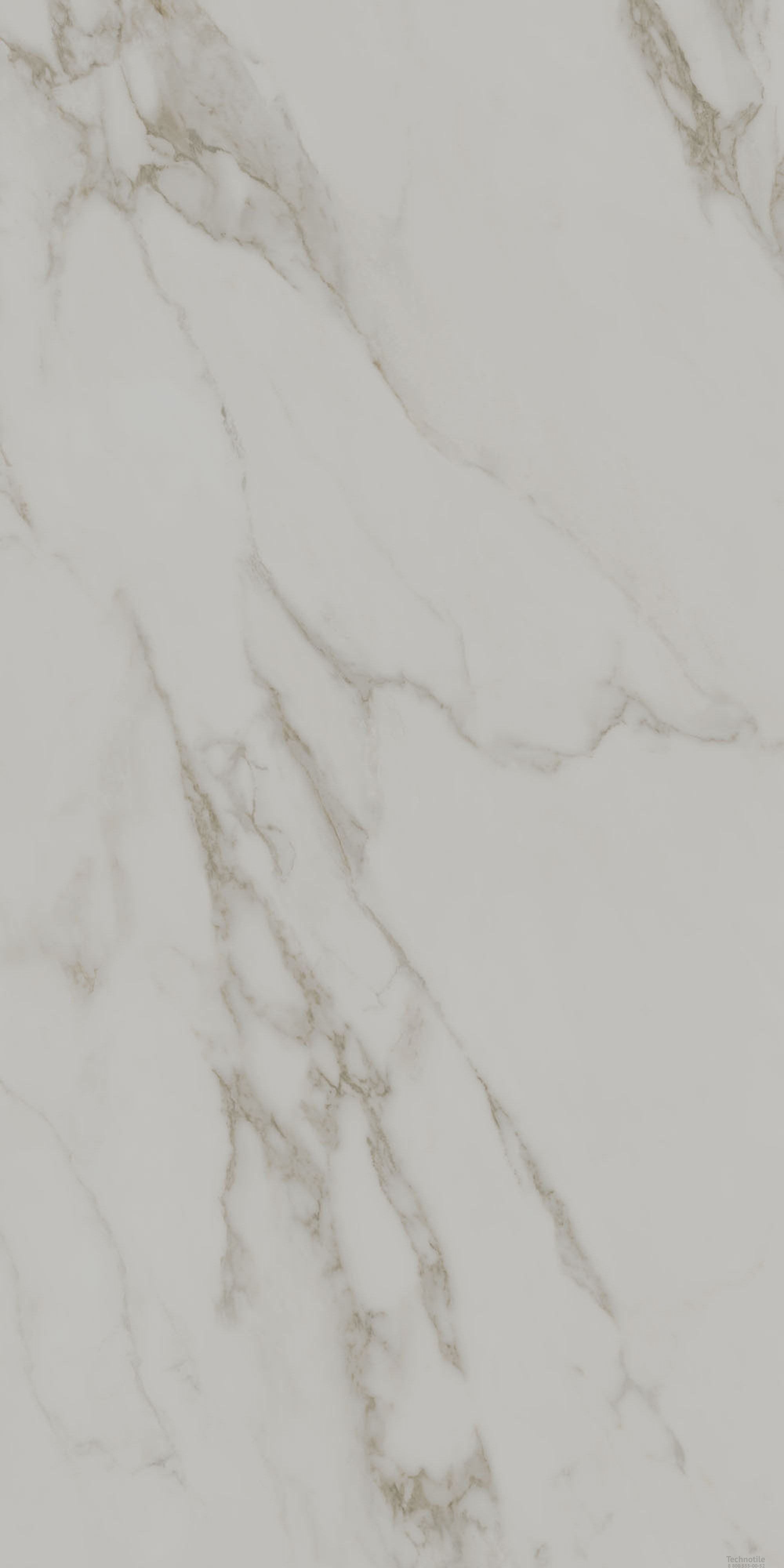 Плитка керамогранит Монте Тиберио SG540722R Светло-серый лаппатированный