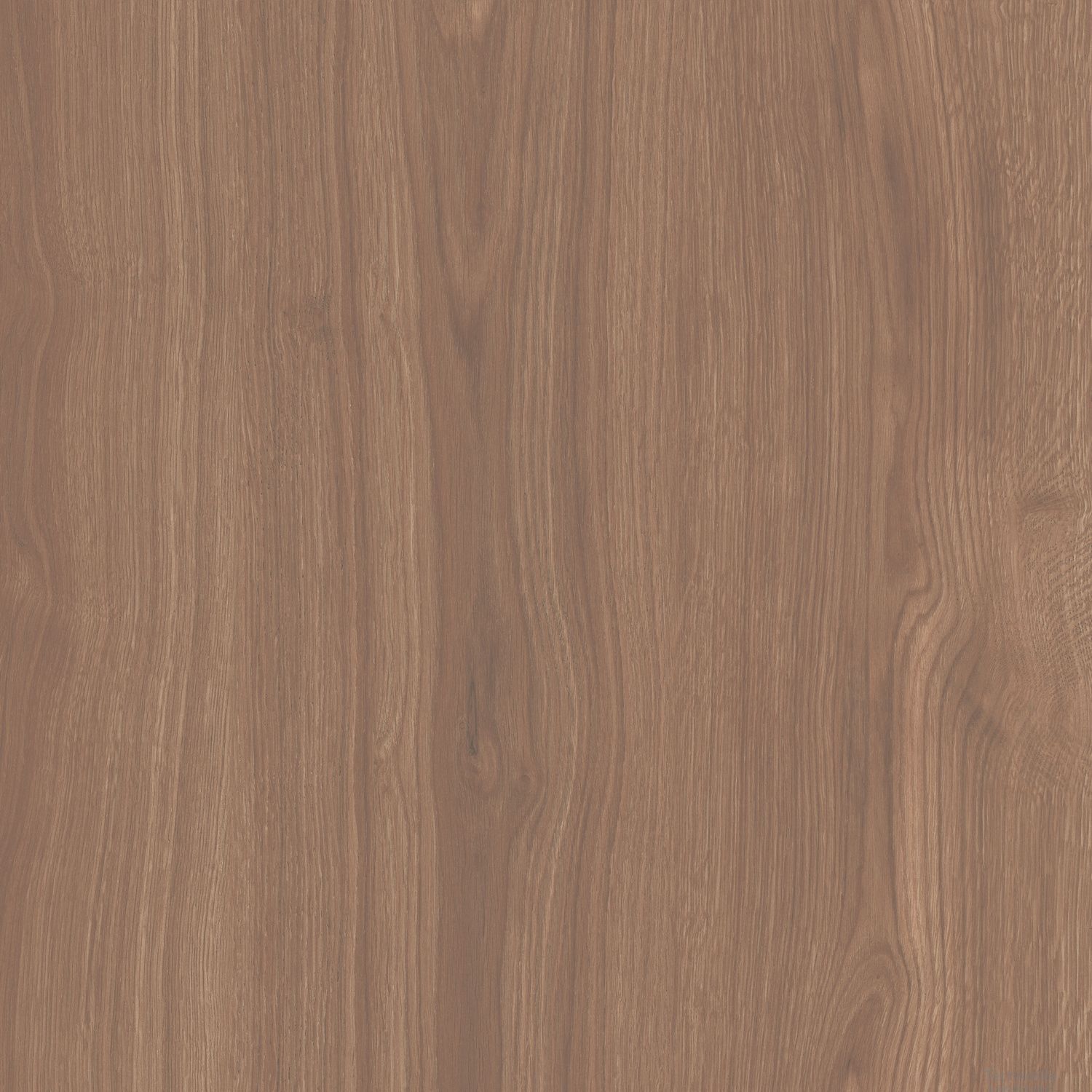 Плитка керамогранит Альберони SG644020R Коричневый матовый