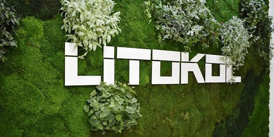 Клей Литокол