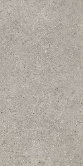 Плитка керамогранит Риккарди SG519920R Светло-серый матовый