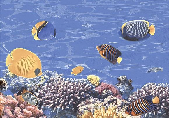 Декор керамический D2 Бригантина матовый