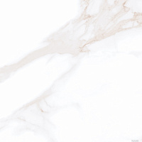 Плитка керамогранит Традиция ZA-B60304  матовый