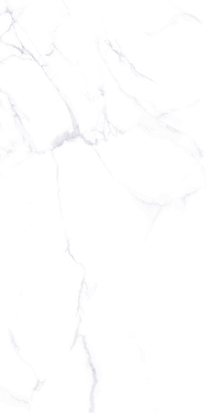 Плитка керамогранит Холст ZA-L12605  полированный