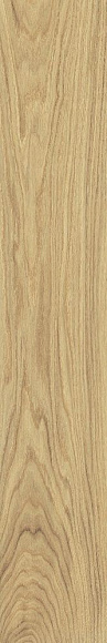 Плитка керамогранит VividWood Дуб матовый