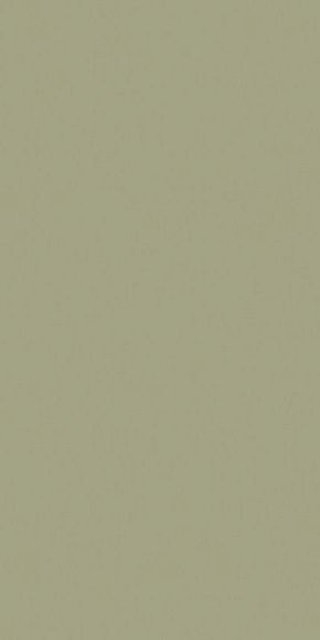 Плитка керамогранит Rainbow RW061 Зеленая пастель матовый